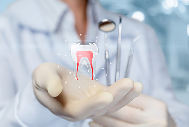 歯科医師の手のひらに浮かぶ、歯科診療のイメージ