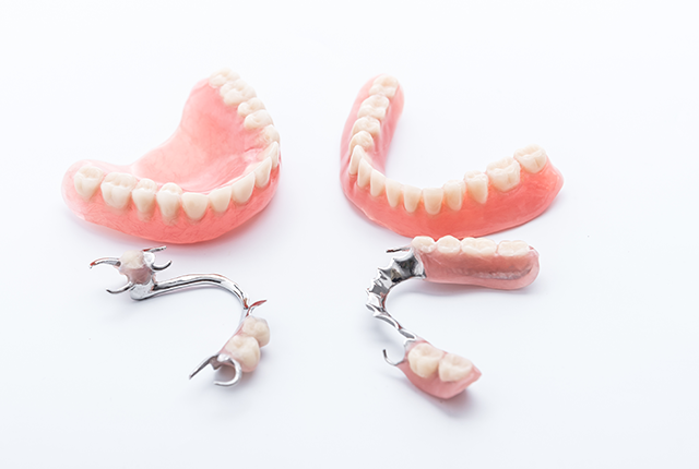 入れ歯の模型